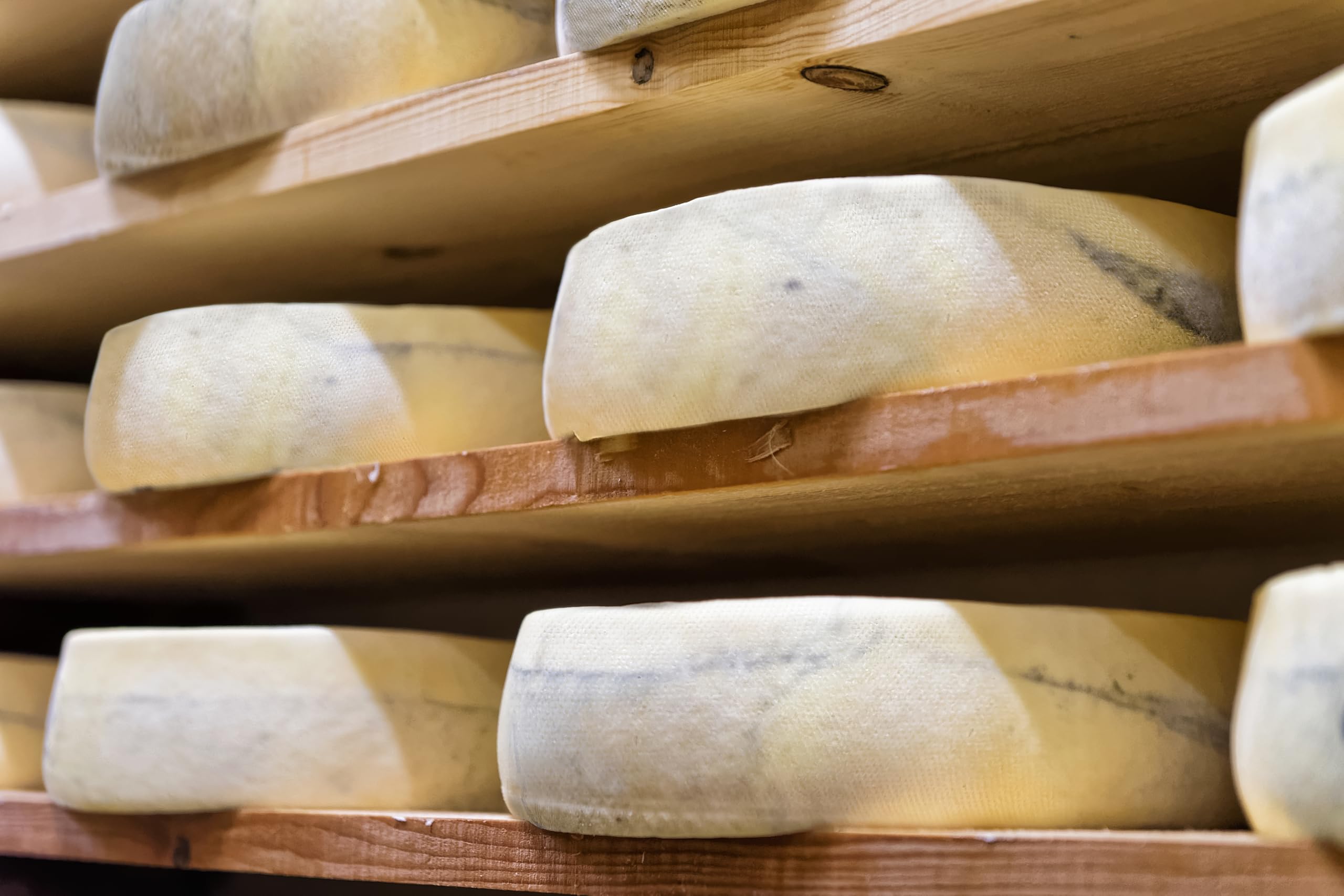 Comté Hartkäse AOP 45% Fett 24 Monate gereift ca. 1,6 kg