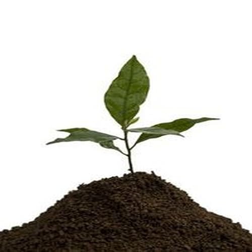 Aloo Patta Gobhi Sabzi Recipe - //medicalbooks.filipinodoctors.org