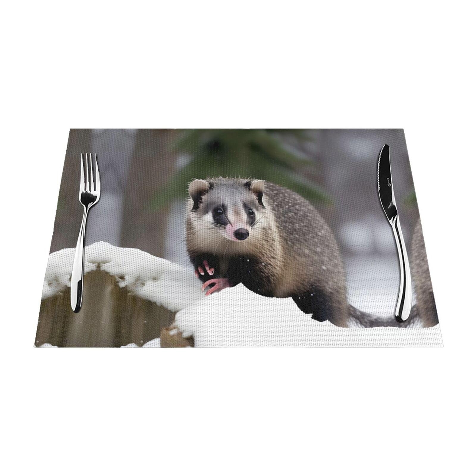 Placemats Set of 6,Table Mats Washable Placemat Decoration, Opossum in Snow Print Print