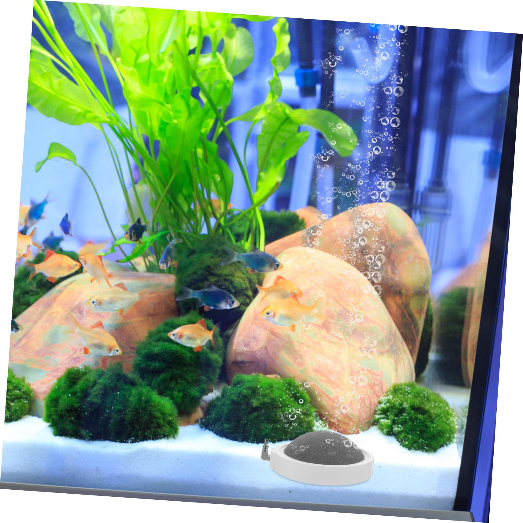 2piezas Piedra Difusora De Aire para Acuario Aumenta y Circula Nutrientes Compacto para Peceras y Filtración De Agua