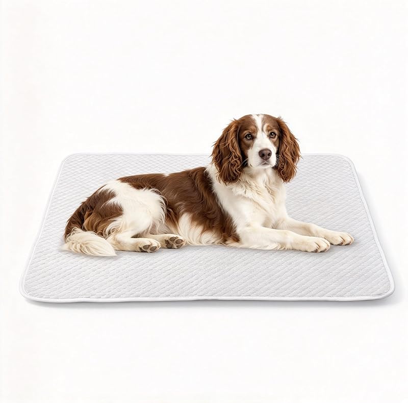Tapete refrescante para cães GooCare com tecido ice-silk, impermeável e antiderrapante 96,52 x 66,04 cm