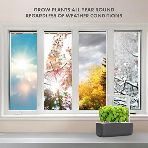 Miniatura 19 de Click & Grow Smart Garden 3 - Kit de jardinería para interiores (incluye cápsulas de albahaca)