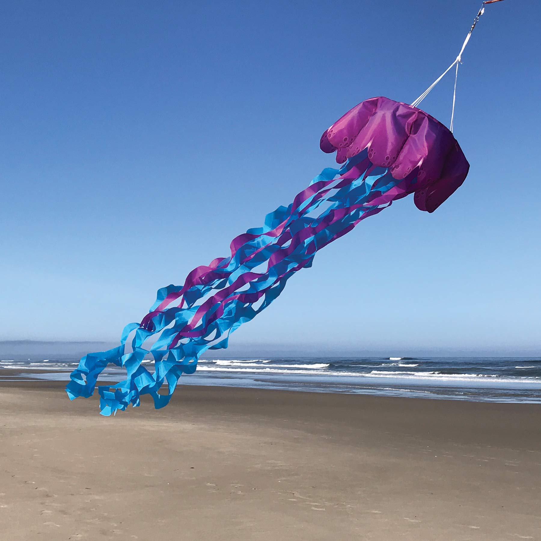 Amazon.com: In the Breeze 5170 — 3D Jellyfish Windsock — Colorful
