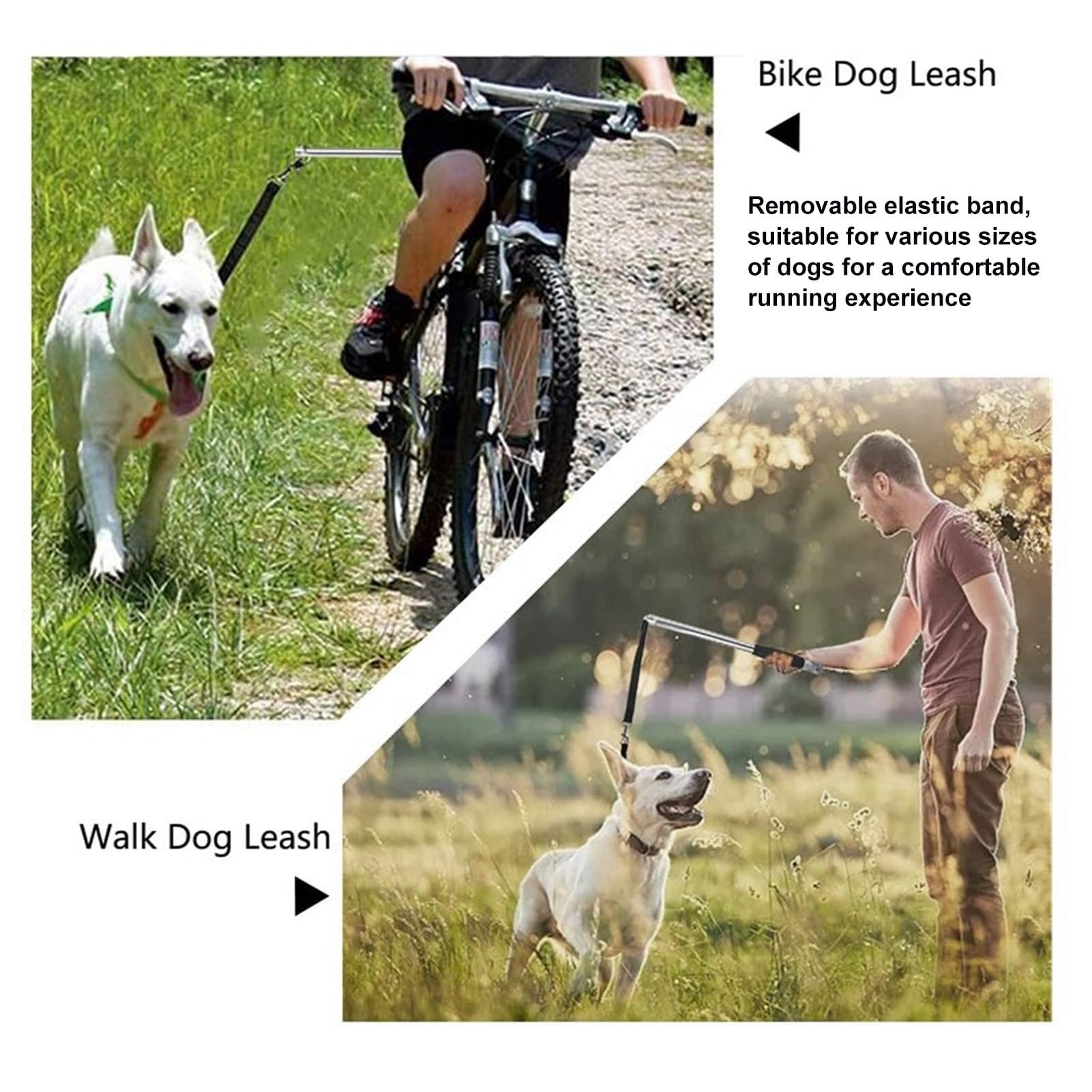 Laisse rétractable pour chien en acier inoxydable haute résistance, idéal pour l'entraînement, le jogging et le cyclisme