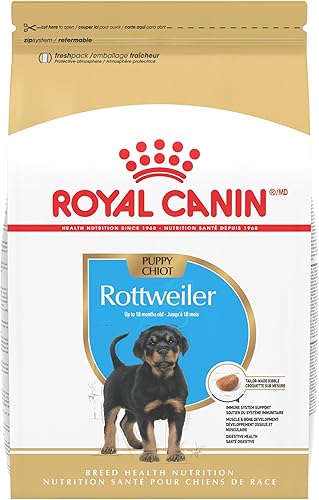 Royal Canin Rottweiler Puppy Breed - Alimento seco específico para perros, bolsa de 30 libras