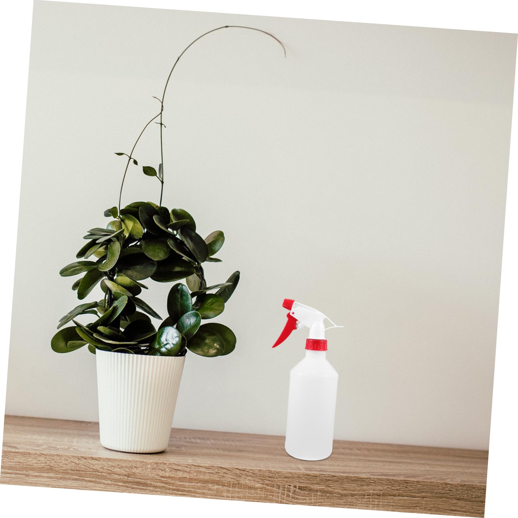 ifundom Pack de 6 Botellas de Spray de Plástico de 500ml, Pulverizador Portátil Prueba de Fugas Adecuado para Plantas y Uso en Viajes Color Aleatorio