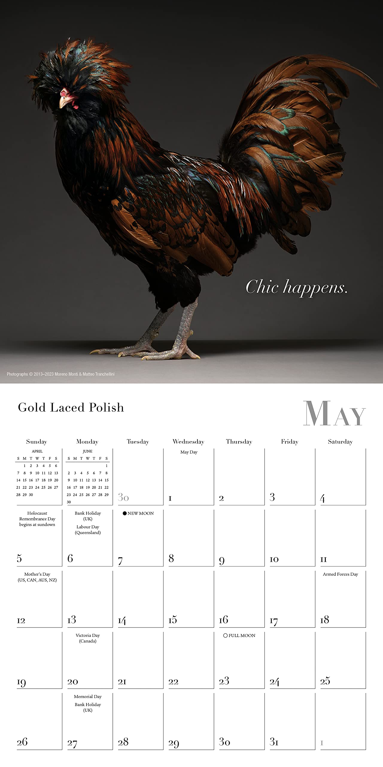 Amazon.com: Glamour Chicks 2024 Mini Calendar, 7" x 7" : Office Products