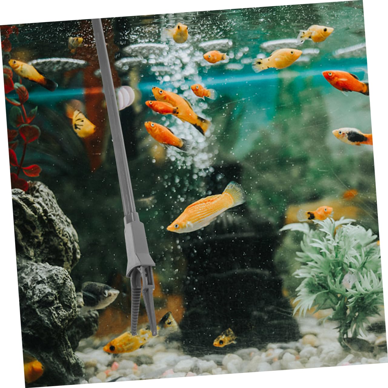 BESPORTBLE Lot de 2 pinces à plantes aquatiques - Accessoires d'aquarium - Pince en plastique - Avec outil de plantation d'aquarium - Gris foncé