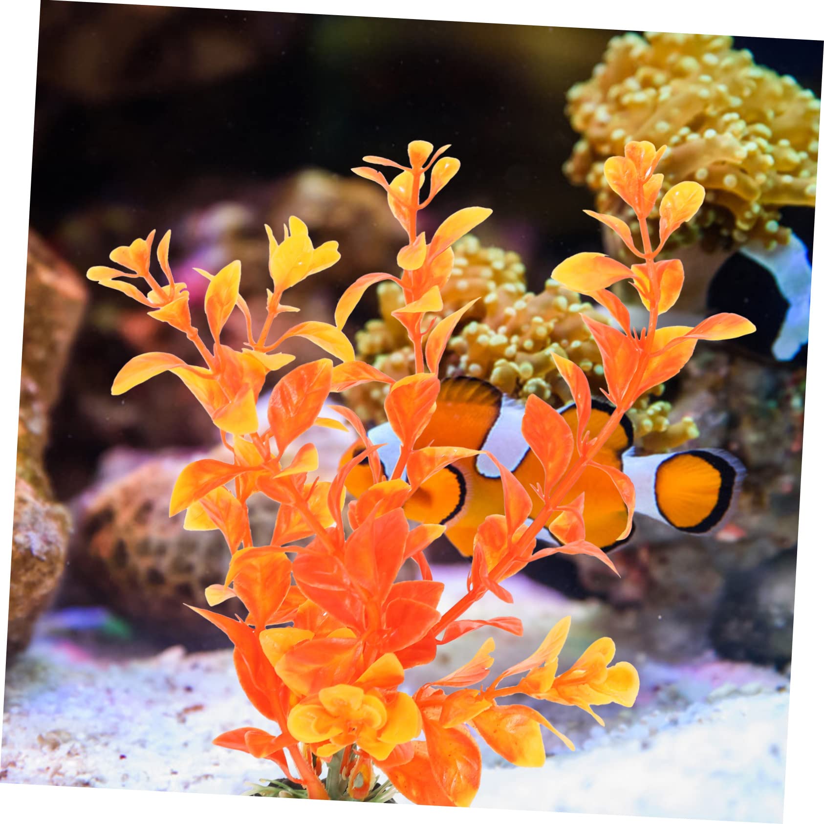 BESPORTBLE 36stücke Künstliche Pflanzen Für Aquarien Dekorative Wasserpflanzen Für Fisch Und Schildkrötentanks Langlebiges Zubehör Für Aquariengestaltung