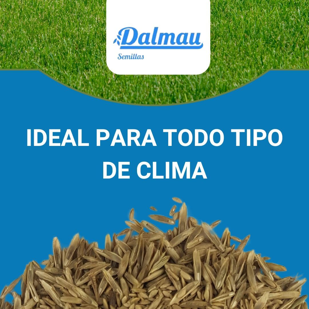 Semillas Pack de Césped Resistente 5kg