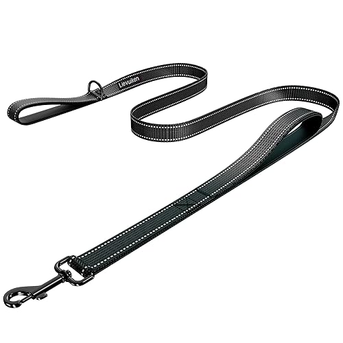 Dog Leash 4ft Long, Double Handle Dog Leash for Safety