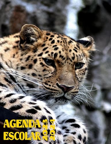 Agenda Escolar 20232024 Leopardo Calendarios, Universidades - y planificadores escolares, planificadores escolares con calendario, planificadore ...