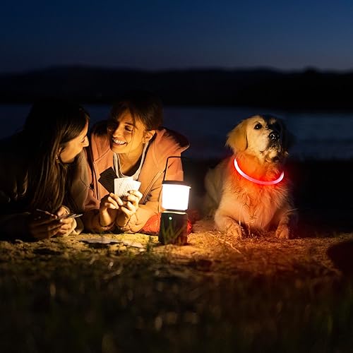 Miniatura 7 de HIGO Collar LED para perro, collar de perro con luz recargable por USB, impermeable, para tus perros caminando por la noche (rojo)