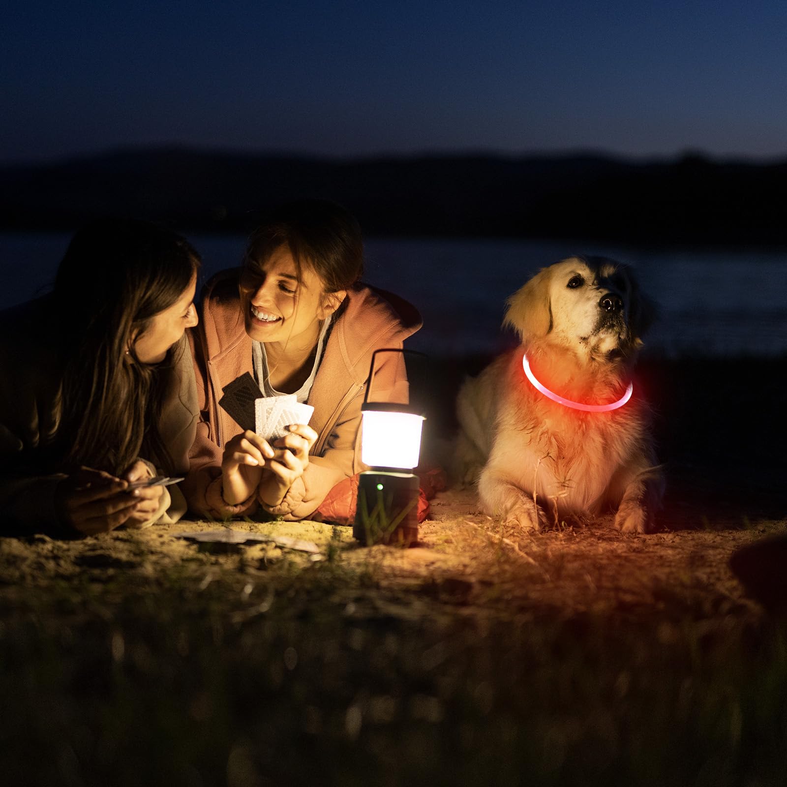 Collar de perro LED recargable por USB, que brilla en la oscuridad, collar de seguridad para mascotas de TPU intermitente, collares iluminados para mantener a tus perros visibles y seguros cuando