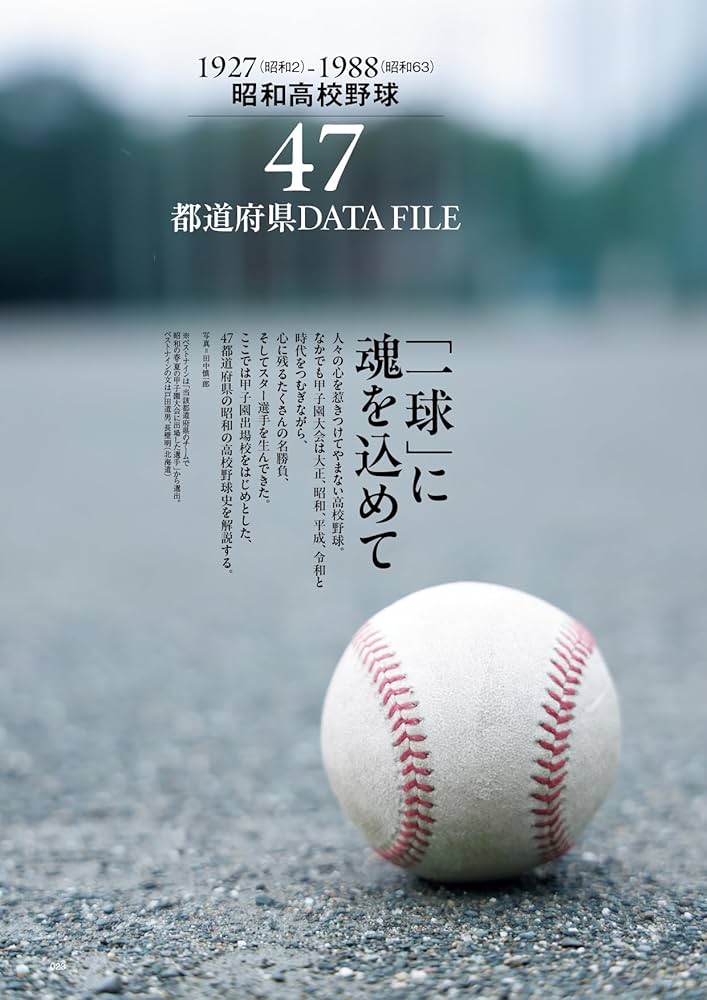 当時物 南海ホークス球団公式練習球 希少 野球ボール 昭和レトロ 当時物 南海ホークス球団公式練習球 希少 野球ボール 昭和レトロ