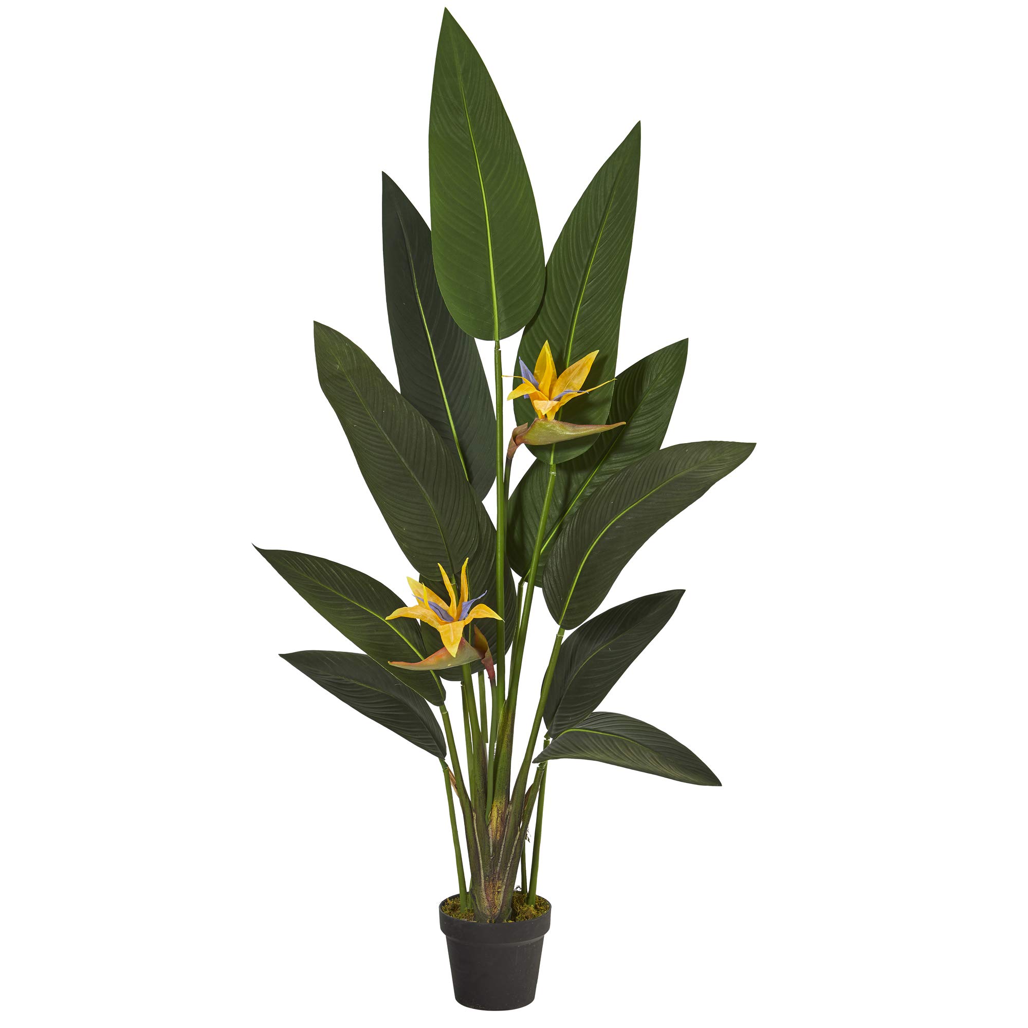 Amazon|Nearly Natural 人工観葉植物 極楽鳥花 リアルタッチ Amazon|Nearly Natural 人工観葉植物 極楽鳥花 リアルタッチ