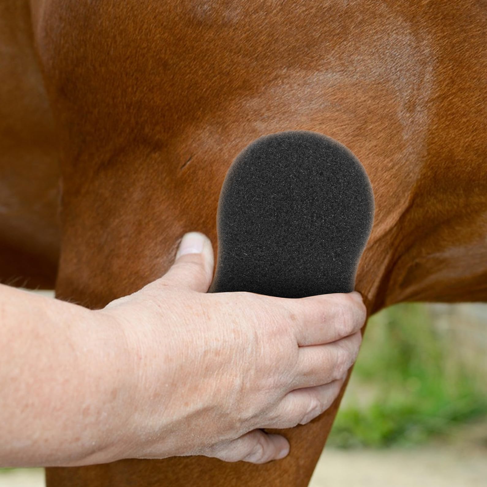 BESPORTBLE Esponjas para Limpieza y Cuidado de Caballos de Esponja Negra 5 Piezas para Lavado Después de Paseos y Uso Ganadero