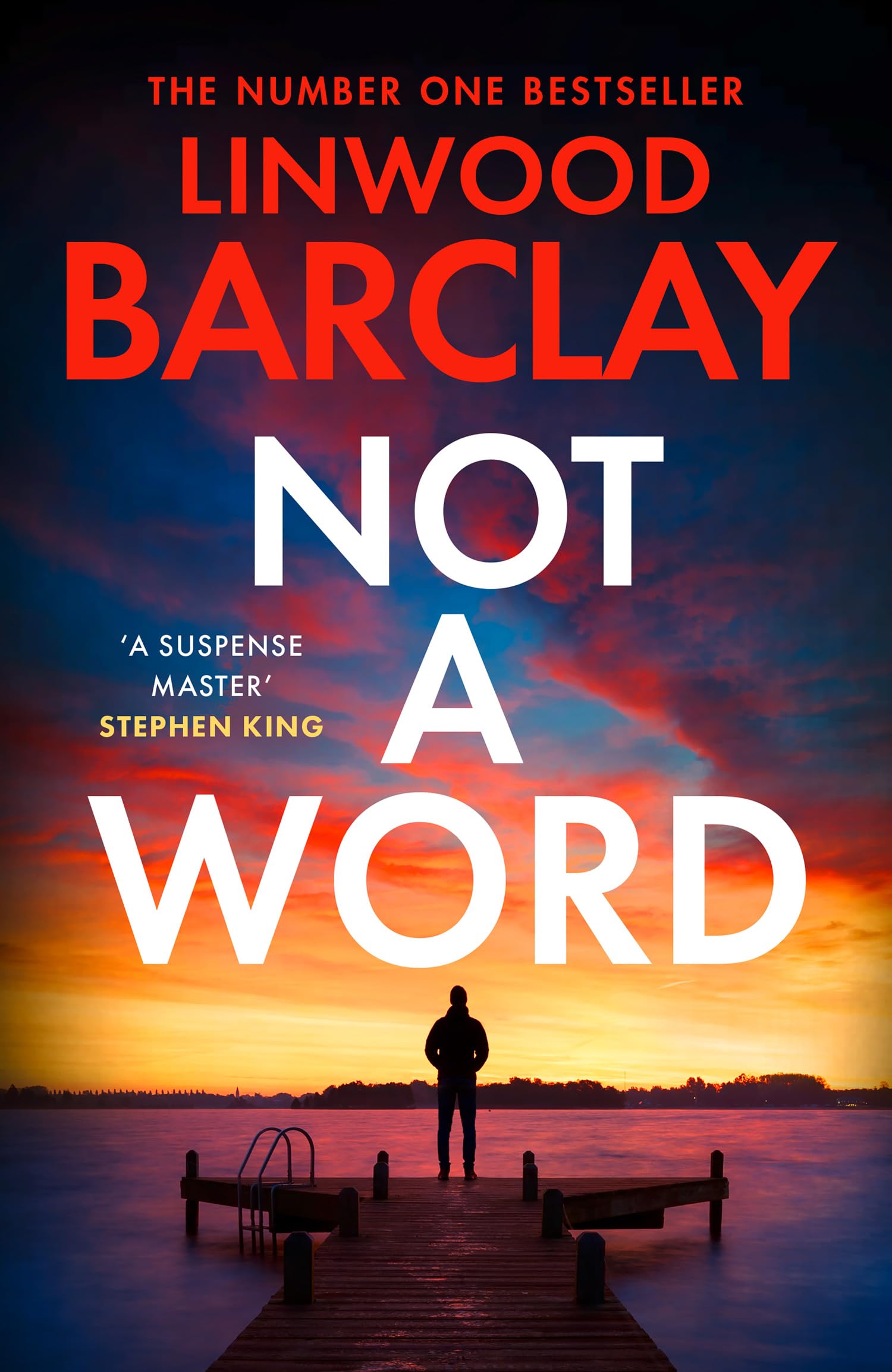 Not a Word: The brand-new, gripping crime suspense thriller from the Sunday Times bestselling author of I Will Ruin You – perfect for James Patterson and David Baldacci fans in 2026!
