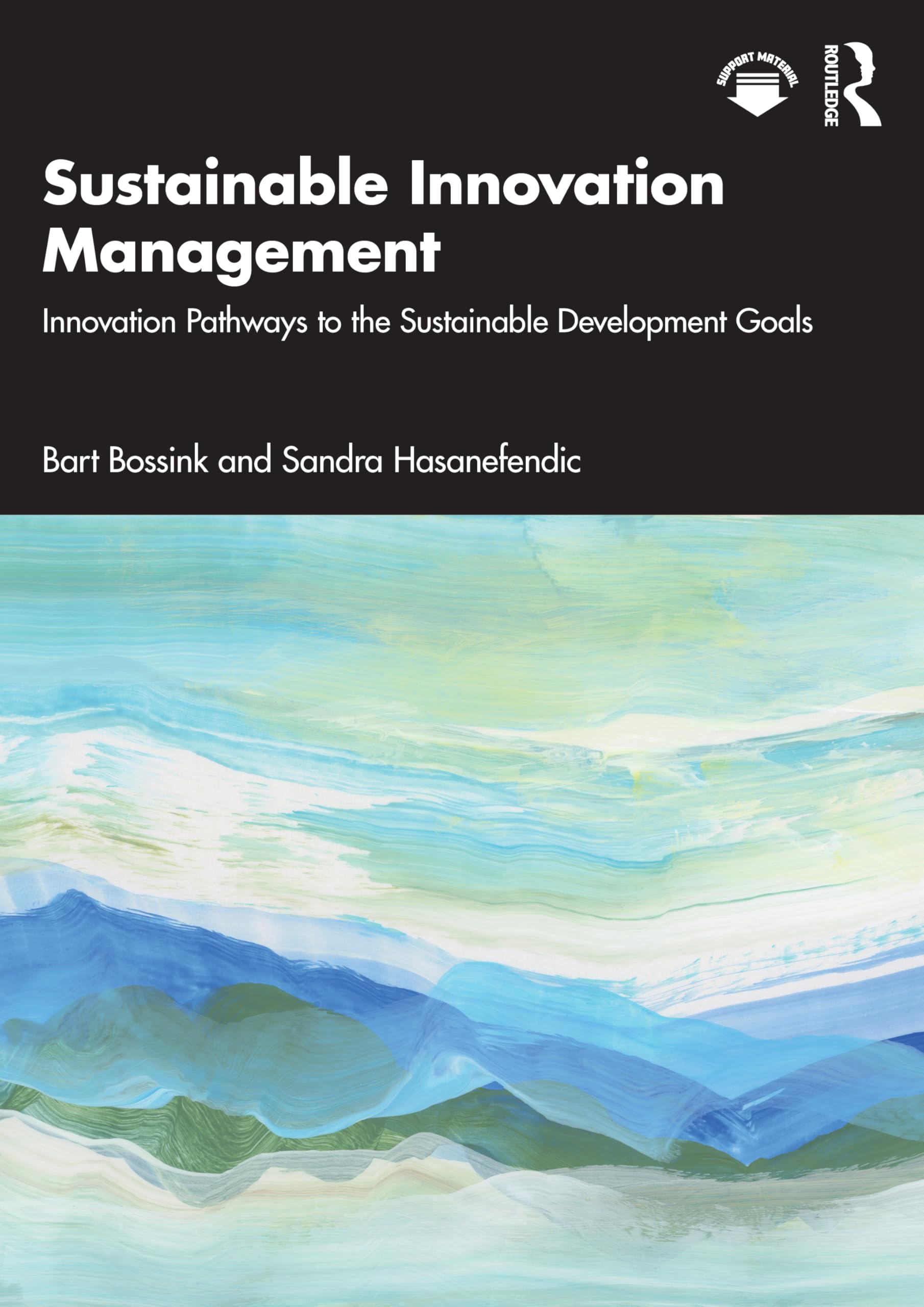 Sustainable Innovation Management: Innovation Pathways to the Sustainable Development Goals