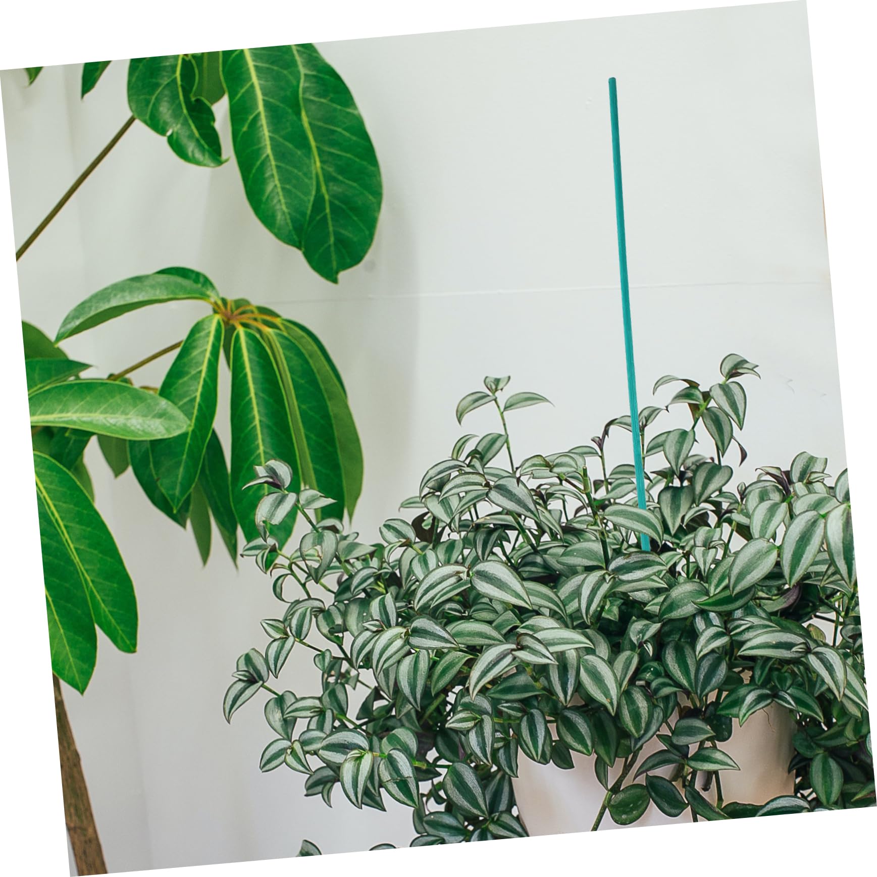 HEMOTON Lot De 4 Supports pour Plantes Tuteurs pour Plantes D'Extérieur Supports pour Plantes D'Intérieur Supports pour Compositions Tuteurs pour Fleurs De