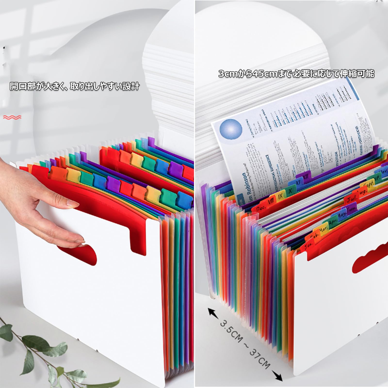 おすそ分けファイル(アコーディオンファイル)ステッカー Amazon | ドキュメントスタンド A4 ドキュメントファイル 12