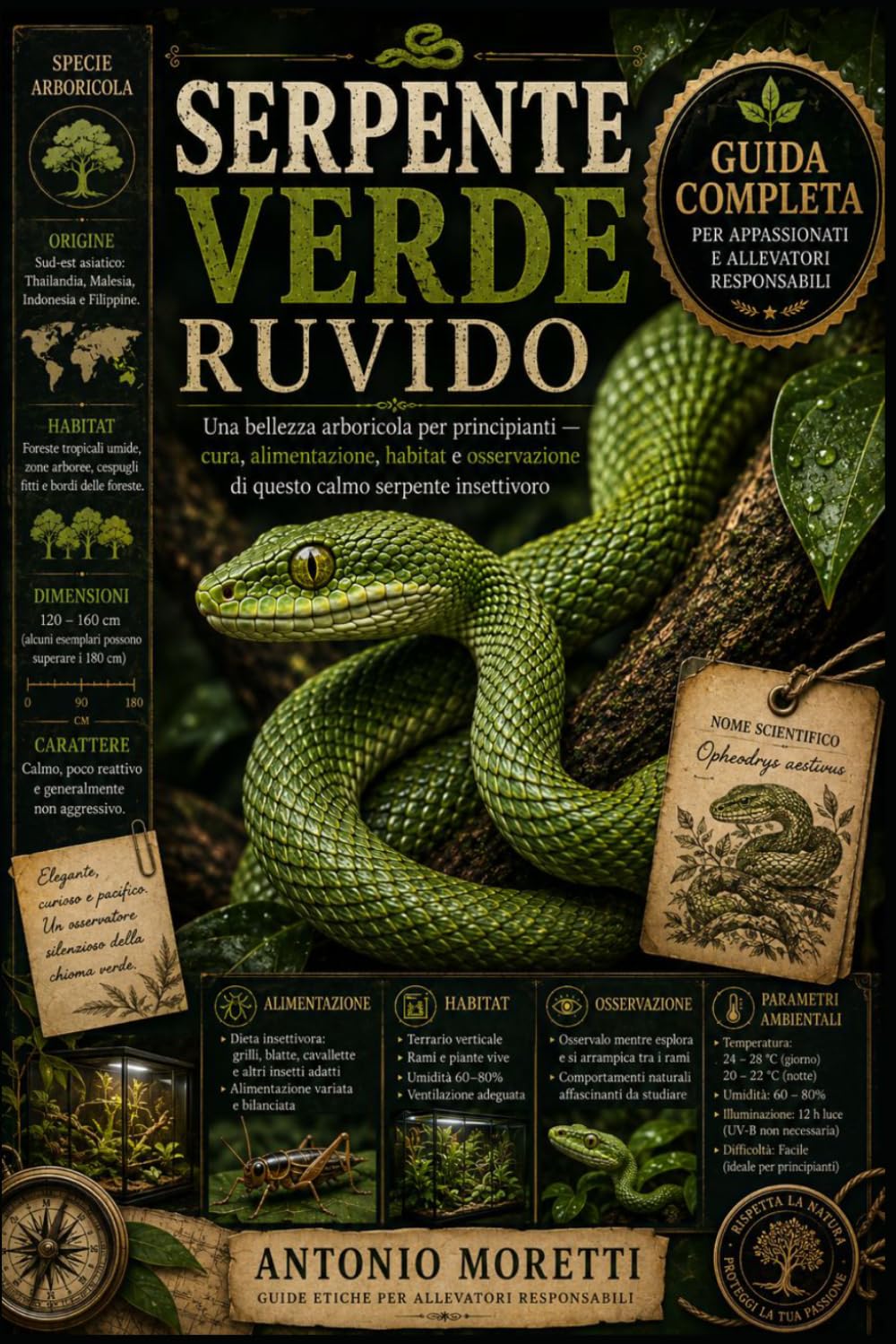 SERPENTE VERDE RUVIDO: Una bellezza arboricola per principianti — cura, alimentazione, habitat e osservazione di questo calmo serpente insettivoro