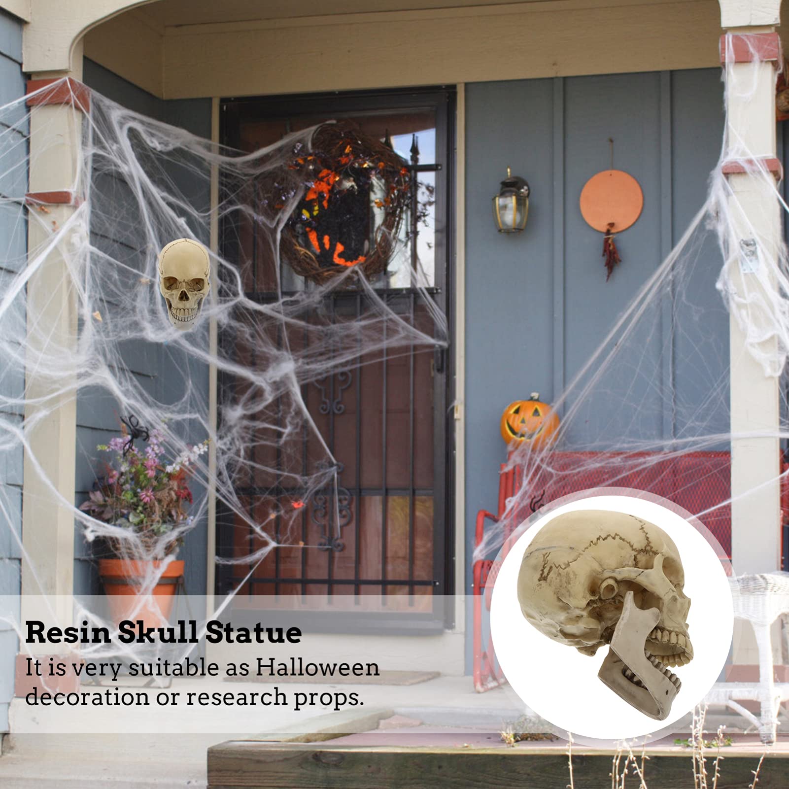 NUOBESTY Suministros De Halloween Figurilla Cráneo de Tama?o Natural 1 Cráneo Humano Modelo Cráneo de Resina 1: 1 Cráneo Humano Adulto Modelo Decoración de Halloween Maniquí