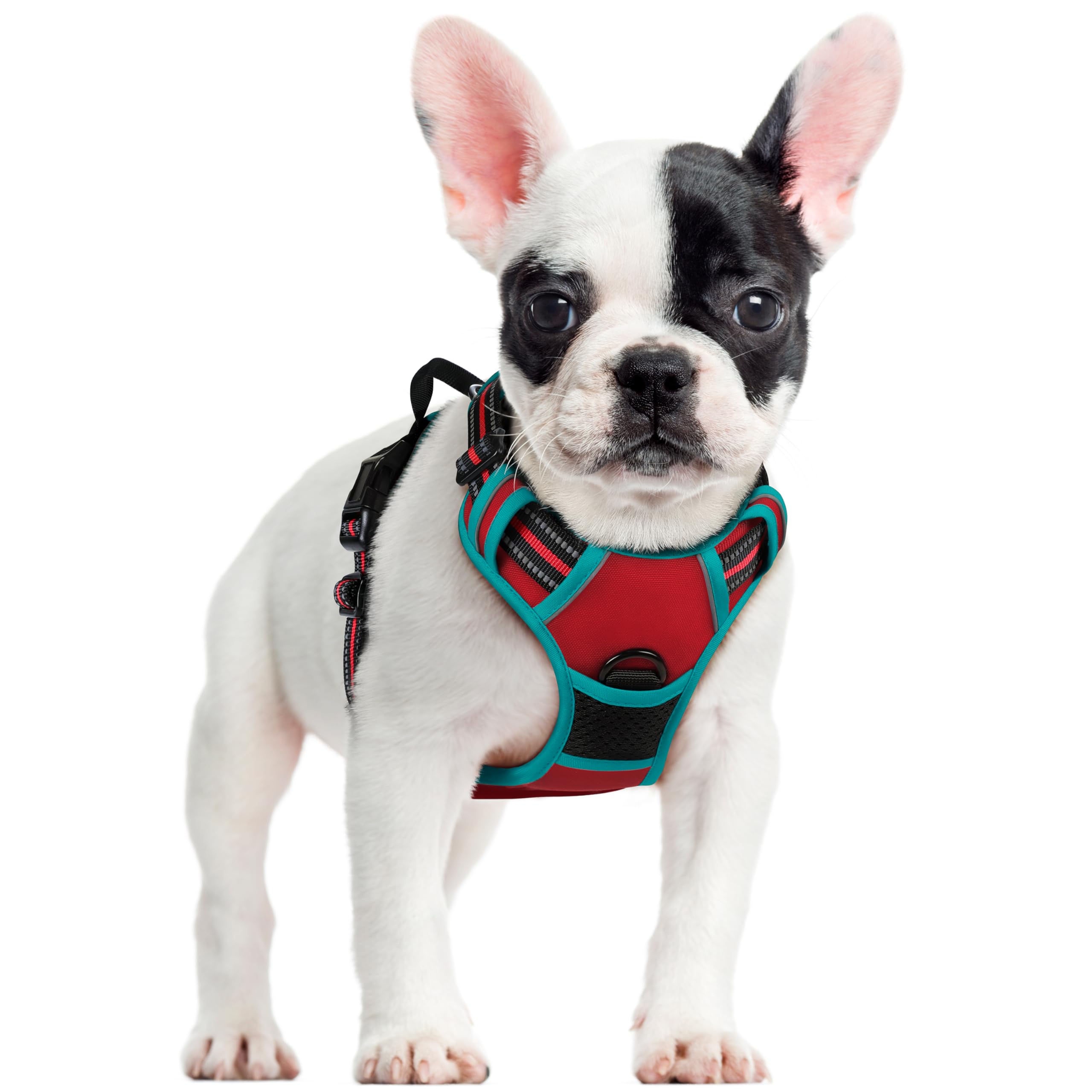 rabbitgoo Pettorina Cane Taglia Piccola, Pettorina Cane ad h Regolabile con 2 Ganci in Metallo, Imbracatura per Cani Anti Tiro Riflettente, Imbracatura Traspirante per Corsa, Rosso + Blu Pavone, S