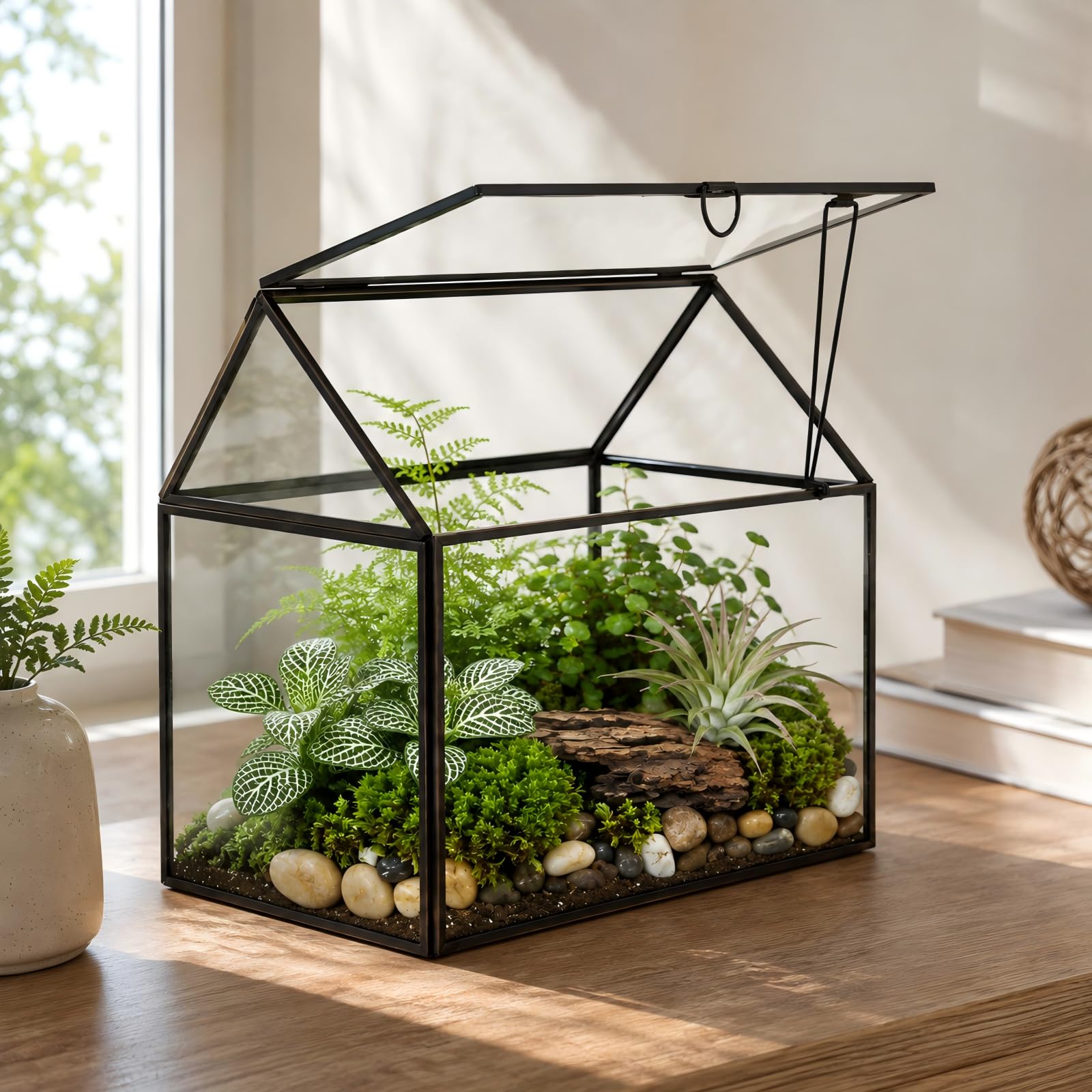Amazon.co.jp: 大型ガラスプラントテラリウム – ハウス多肉植物ガラス