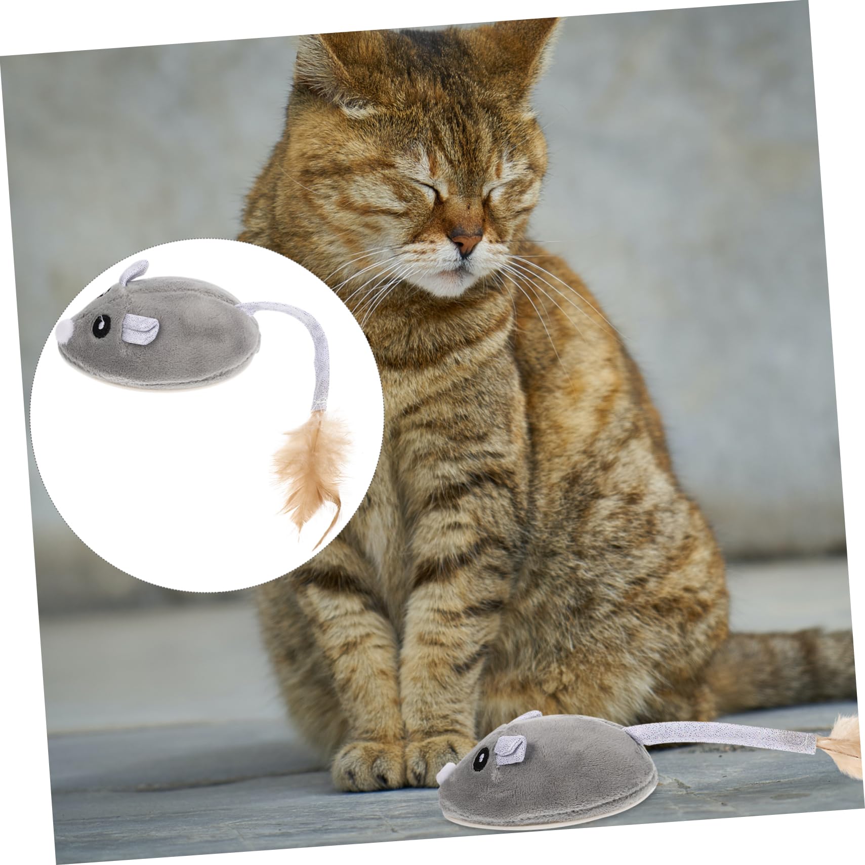 POPETPOP 3pièces Jouet pour Chat Animal avec Herbe à Chat Jouet Électronique Interactif pour Chatons Amusant Et Résistant Stimule Exercice Félin
