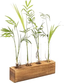 Hyindoor Test Tube Vase Desktop Glass Plant Vase Hydroponic Propagation Station with Wooden Stand and 4 Test Tubes Terrariumin Planter for Home Decoration