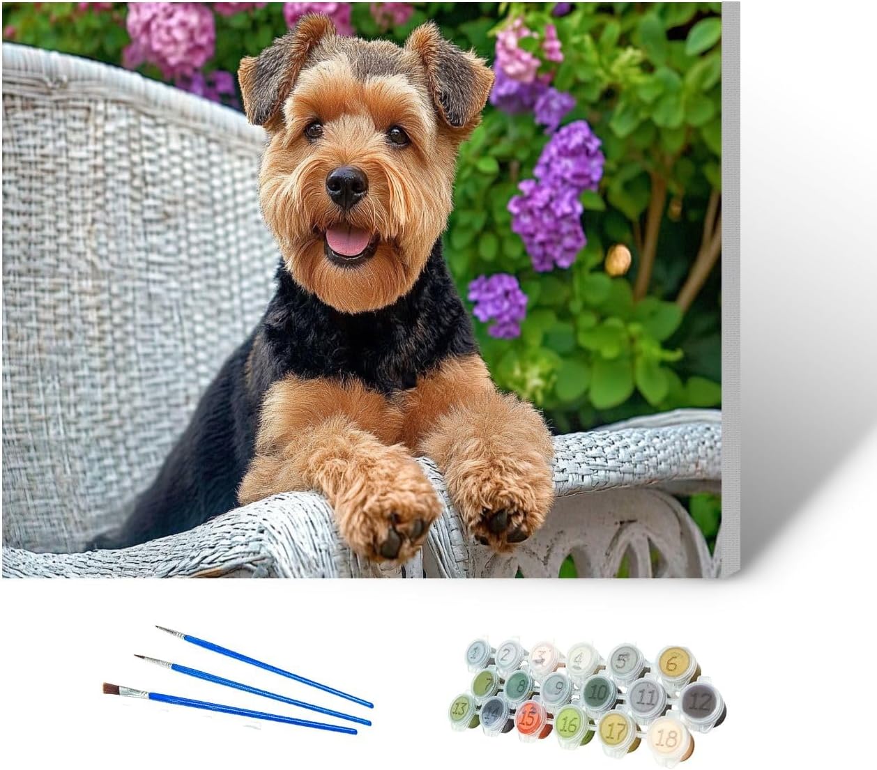 CEREJYPUZ Paint by Numbers Kit for Adults Welsh Terrier Chair 16x20 DIY Color by Numbers Acrylic Paint Framed Canvas Painting Kits for Beginner Students Teens