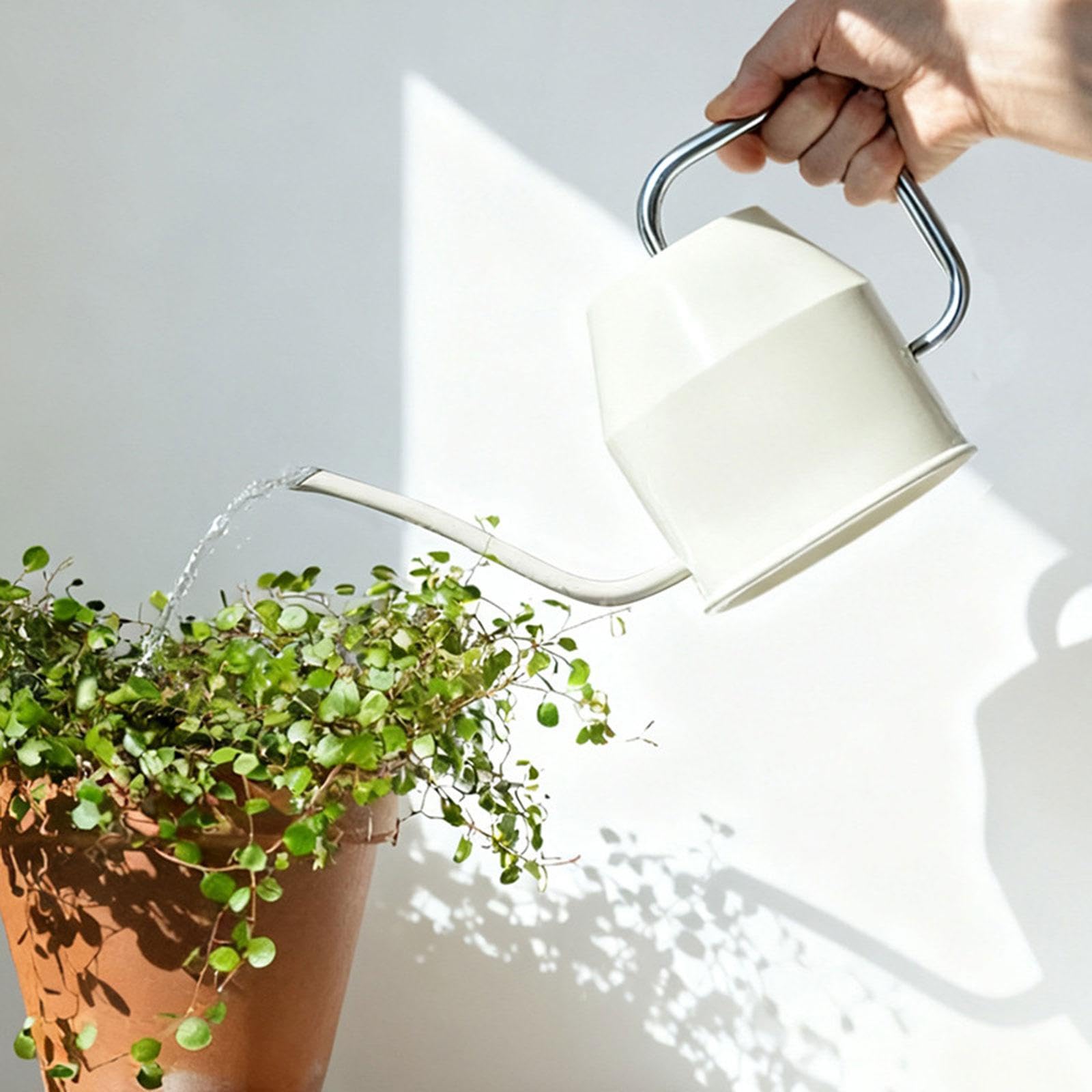 Arrosoir de Jardin à Long Col de 1 L pour D'intérieur et Jardin