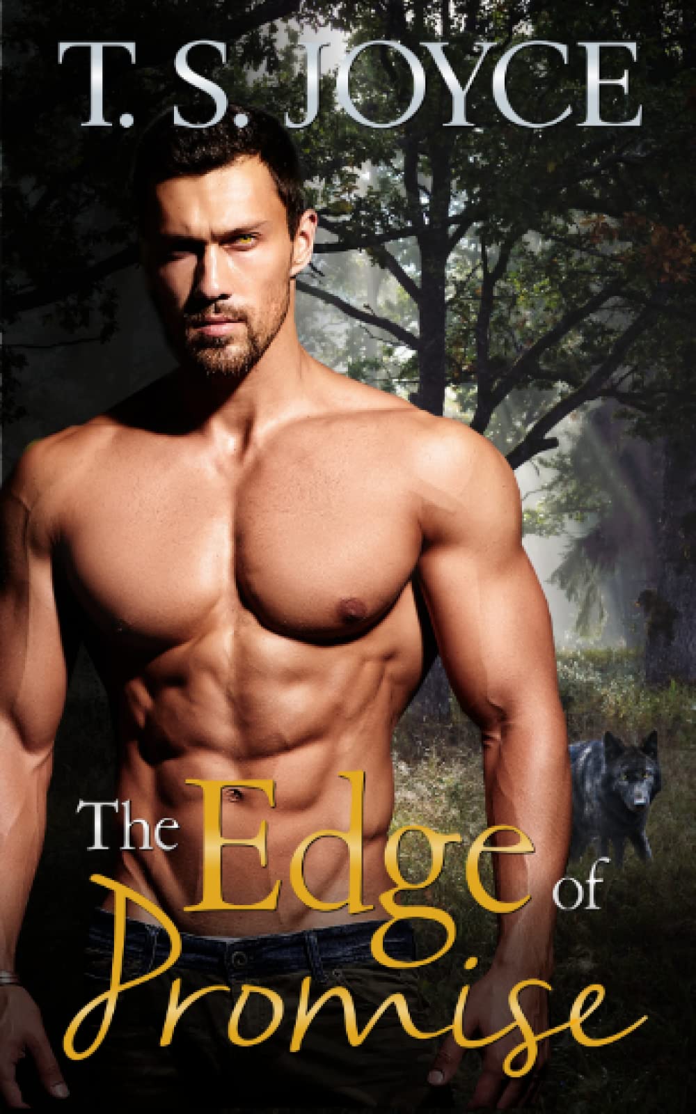 The Edge of Promise (The Wolves of Promise Falls)