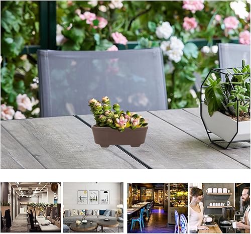 Miniatura 3 de Maceta de jardín, maceta de terracota de cactus, maceta ovalada para suculentas con orificio de drenaje, maceta de bonsái poco profunda para