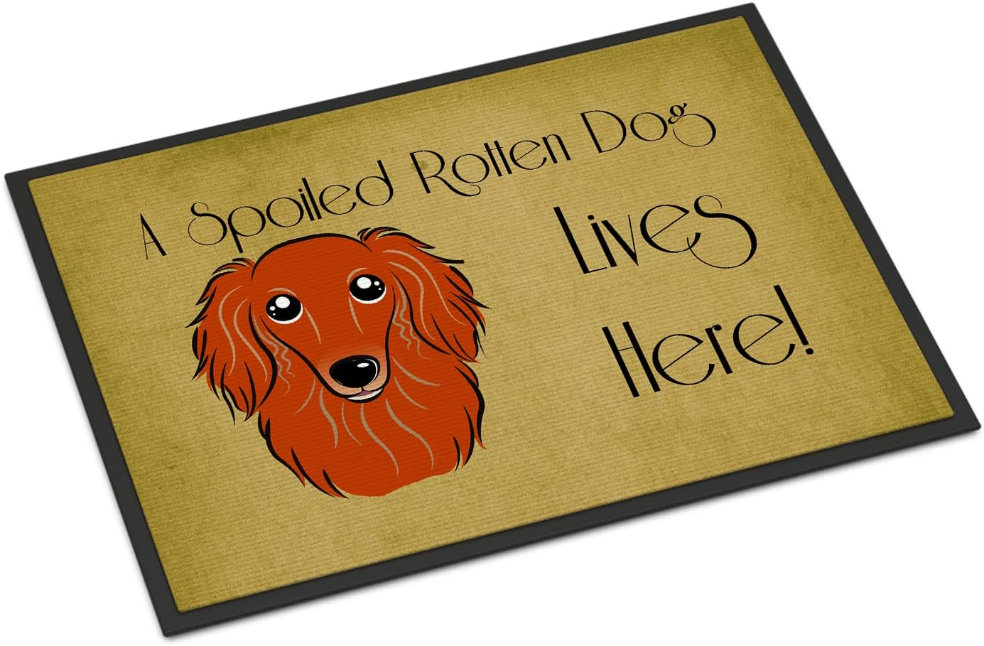 Caroline's Treasures BB1462JMAT Longhair Red Dachshund Spoiled Dog Lives Here Doormat 24x36 Front Door Mat Indoor Outdoor Rugs for Entryway, Non Slip Washable Low Pile, 24H X 36W