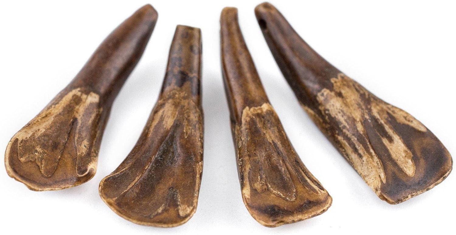 TheBeadChest Brown Water Buffalo Tooth Pendants Set of 4 Nepal Bone Large Hole