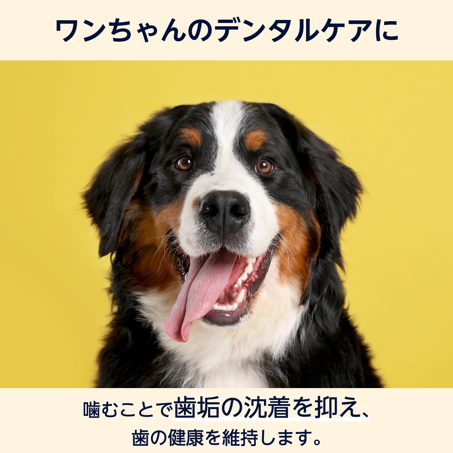 Amazon.co.jp: by Amazon 犬のおやつ 骨型ガム ミルク風味 30本