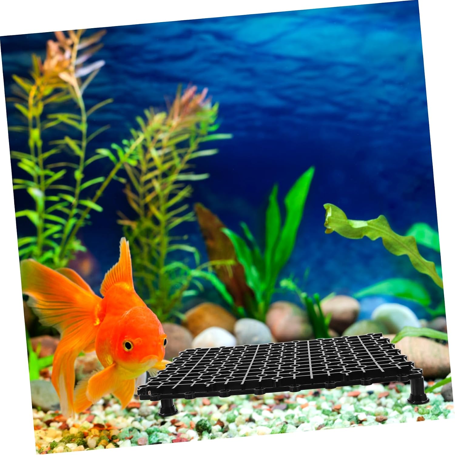 Milisten 4pcs Fish Tank Divider Tray Aquarium Bottom Plate Isolation Boards for Separator for Betta Fish and Aquarium Landscaping
