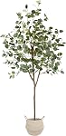 Warmplants Artificial Eucalyptus Tree, 6ft Tall Fake Eucalyptus Plant with Basket, Green Silver Dollars Silk Leaves Faux Tree for Home Office Livingroom Floor Decor Indoor