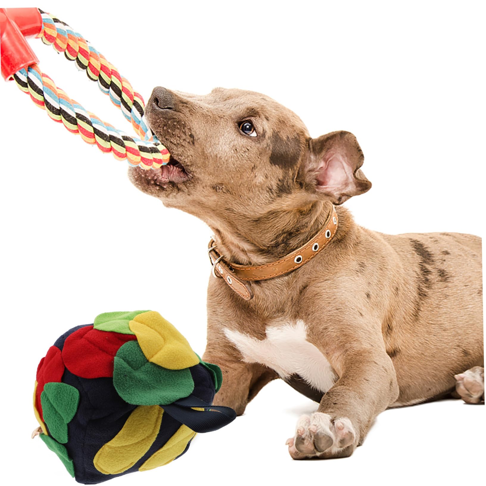 Beavorty 3stücke Schnüffelball Für Hunde Interaktives Futterspielzeug Nasenarbeit Und Spielspaß Komfortabel Und Atmungsaktiv Für Fütterung Und Beschäftigung Von Haustieren