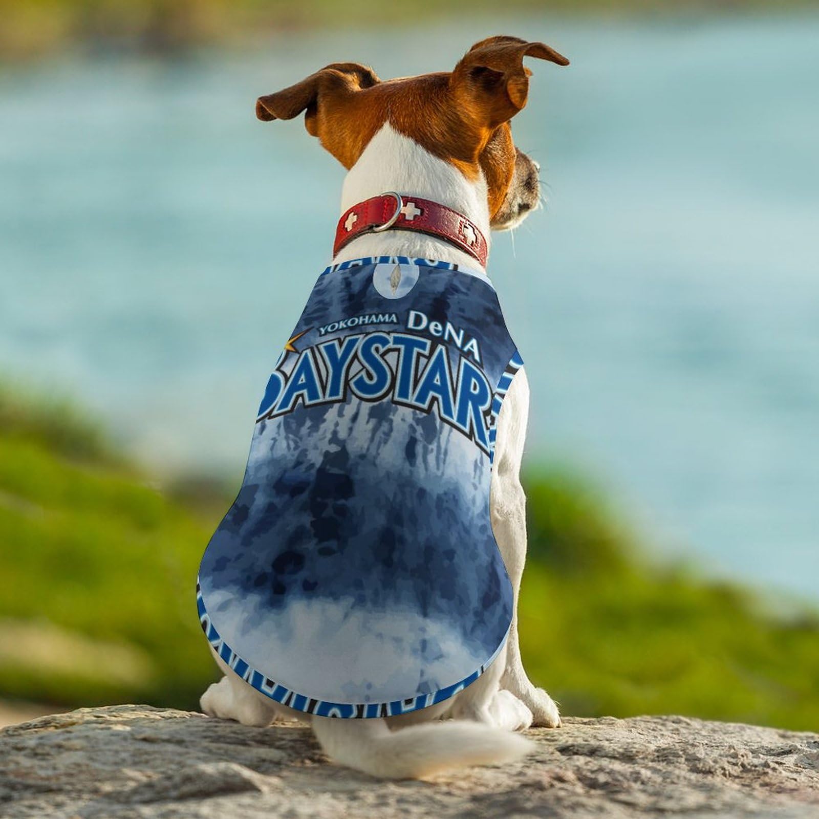 Amazon | ペット服 犬服 横浜DeNAベイスターズ ドッグウェア T