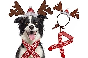 Dog Christmas Costume Festive Dog Outfit