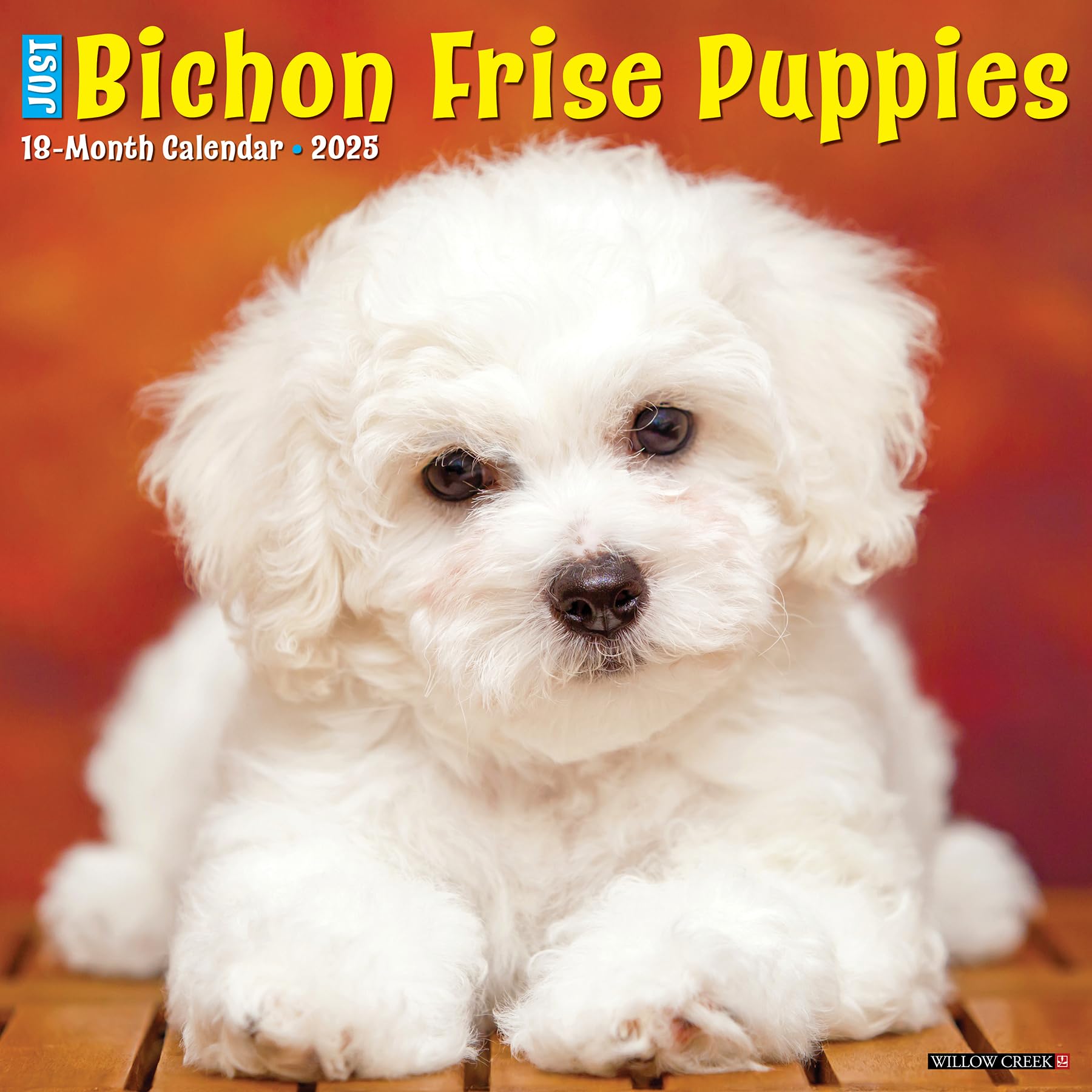 Willow Creek Press, Just Bichon Frises Puppies 2025 Wall Calendar