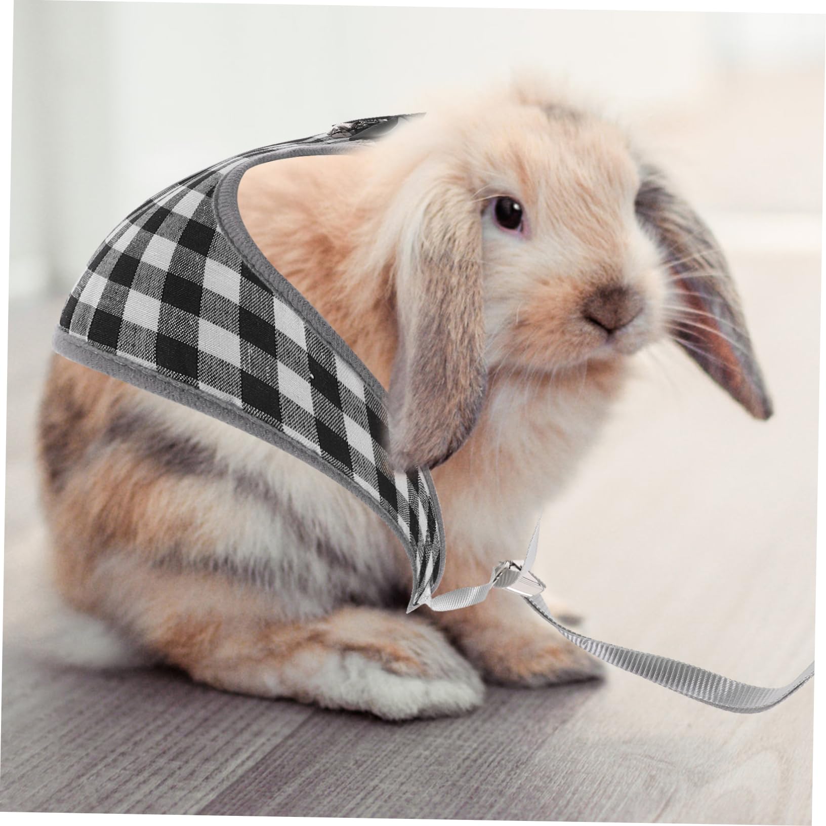 Beavorty 5sätze Süße Kaninchenkleidung Verstellbares Geschirr Mit Bunny-kostüm Für Kleine Haustiere Für Und Besondere Anlässe Atmungsaktiv Und