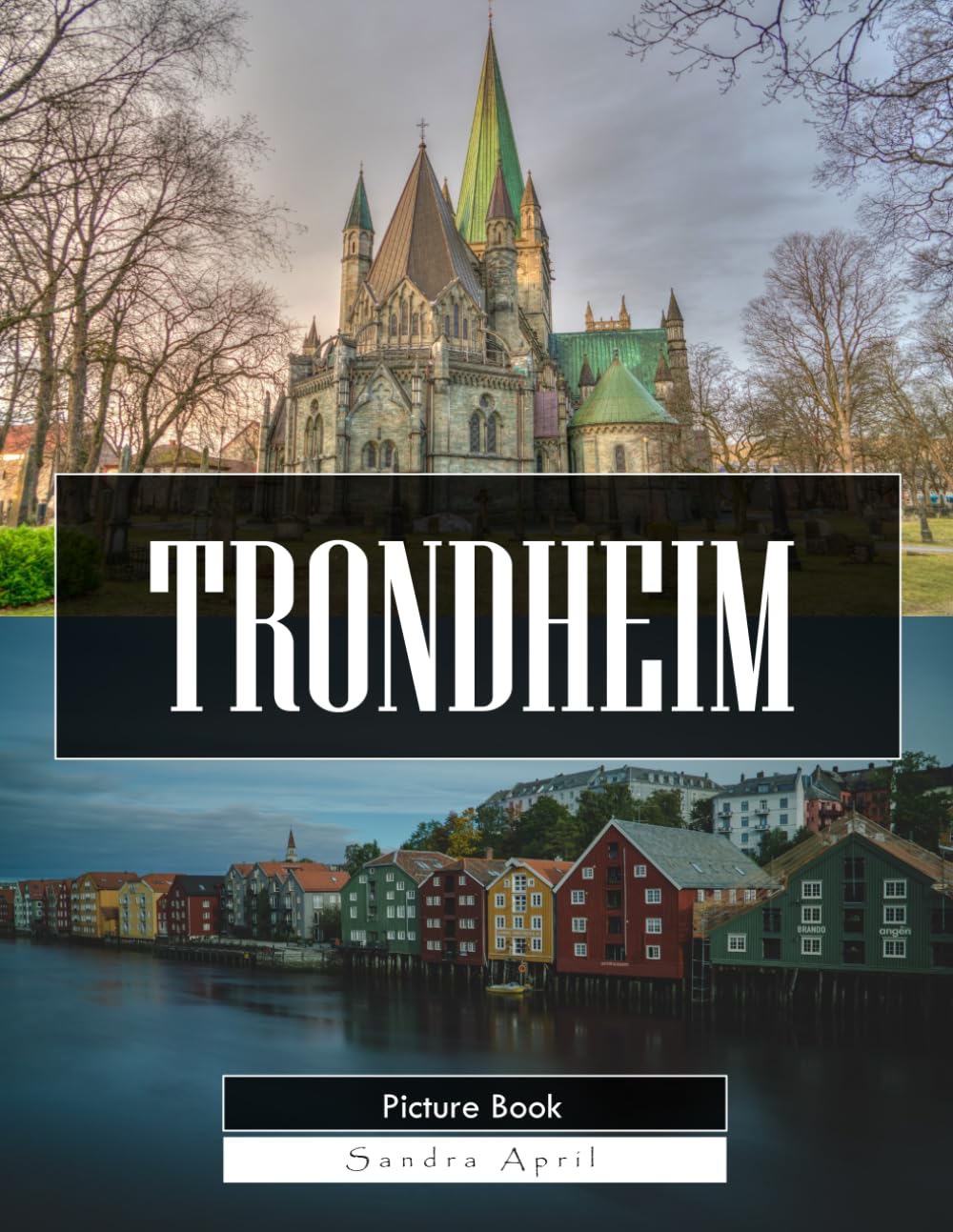 Trondheim: A Stunning Coffee Table Picture Book – For Travelers & History Lovers
