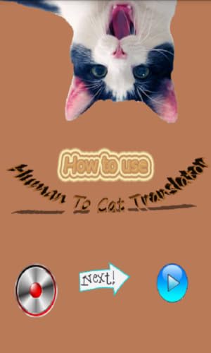 Human To Cat Translator #TOP3