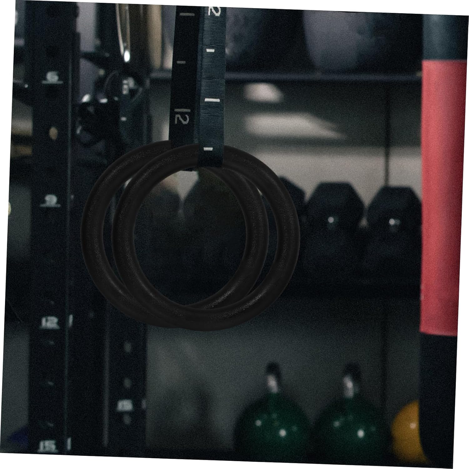 balacoo 2pcs Gymnastic Rings for Strength Training Fitness Rings for Bodyweight Workouts for Pull-ups Push-ups Dips and Core Exercises Black