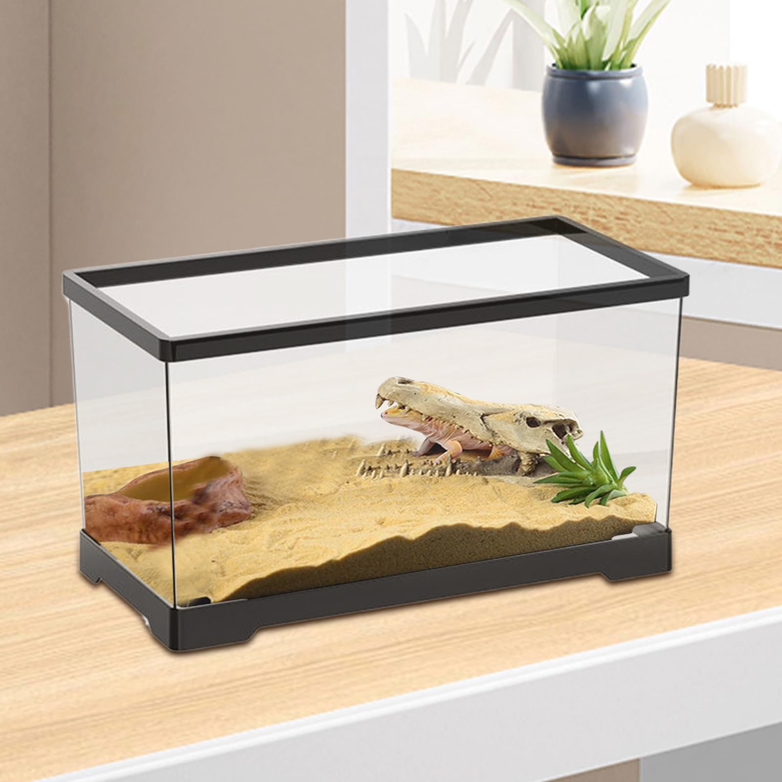 Acquario Per Tartarughe 40x18.5x22cm - Con Piattaforma Per Sole E Drenaggio - Habitat Per Rettili