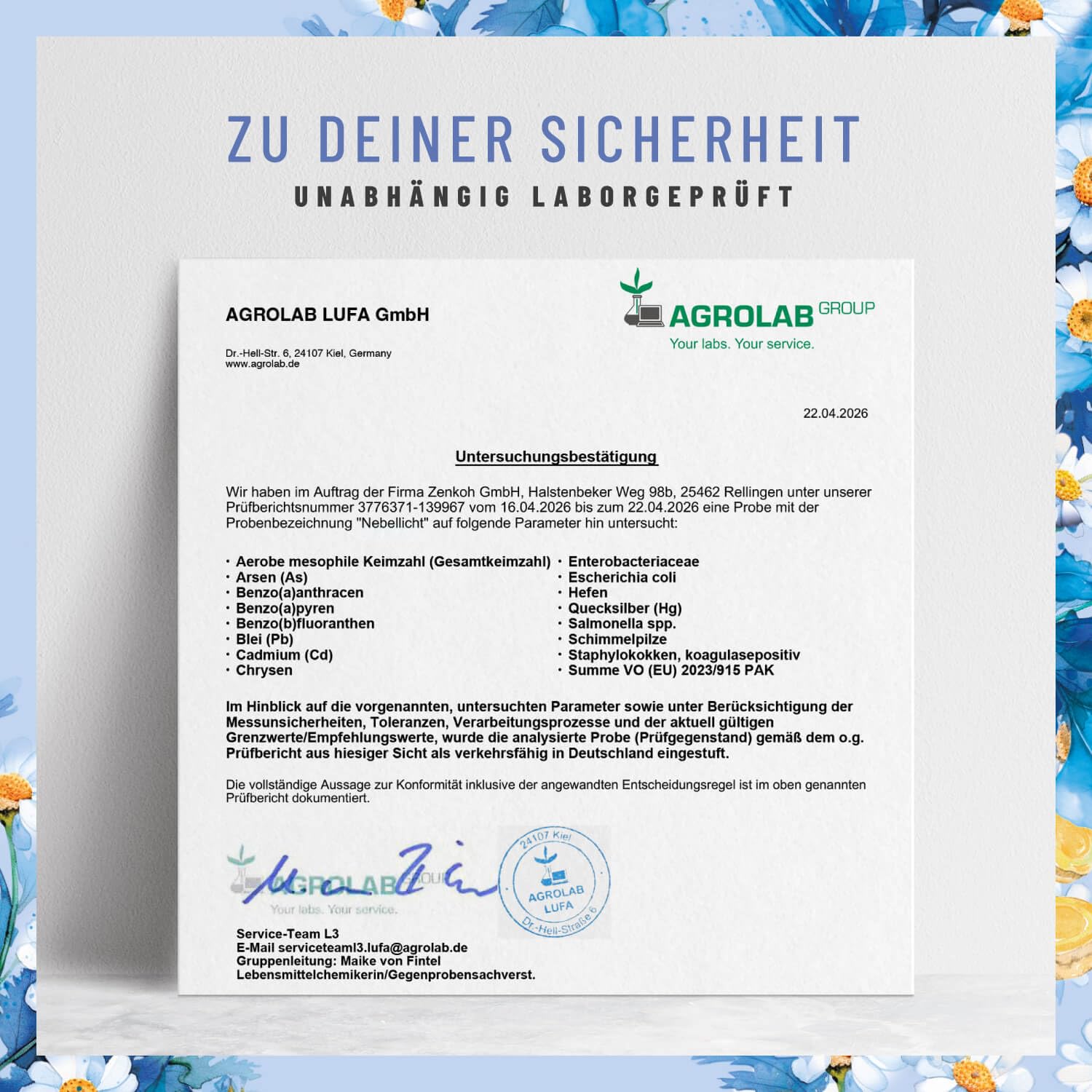 NATURTREU® Nebellicht - Mutterkraut Komplex hochdosiert 1260 mg pro Tag - Komplex mit Ingwer, Magnesium, Coenzym Q10 & Vitamin B2 - natürlich und vegan